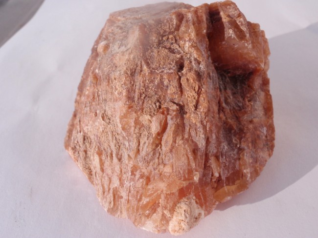 PB030041.JPG