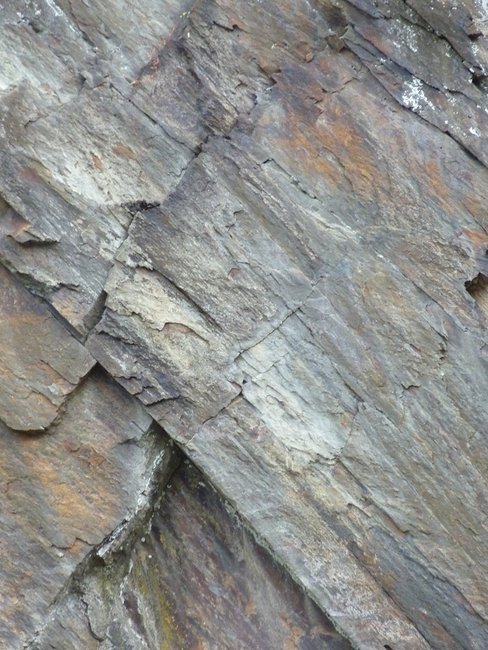 im Detail