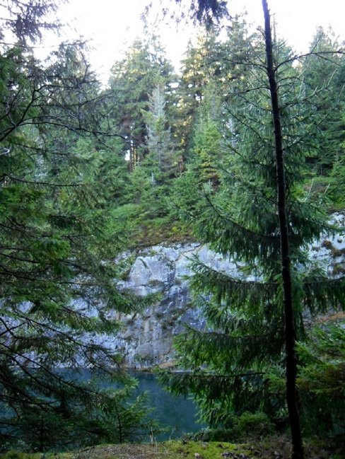 alter steinbruch see durch bäume waldstein.jpg