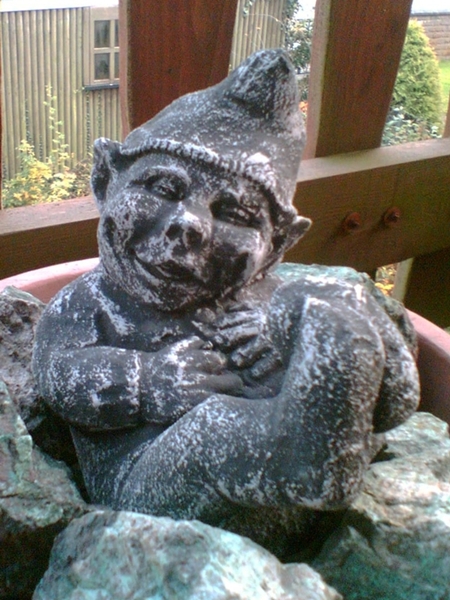 troll auf chrysokoll