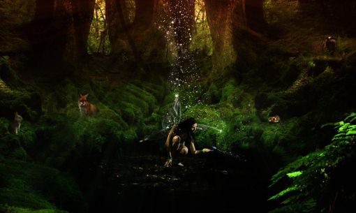 Tiere-Wald-elfe11-fairy-~-Secrets-Schwarz-510x510.jpg