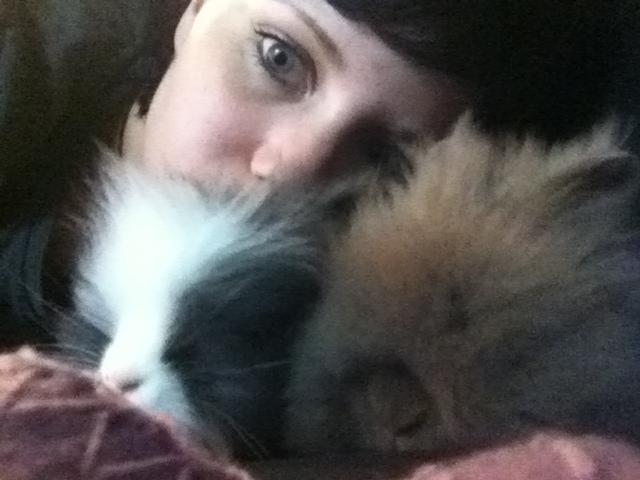 wir 3