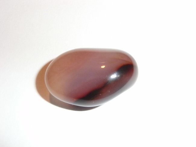 RIMG0216.JPG