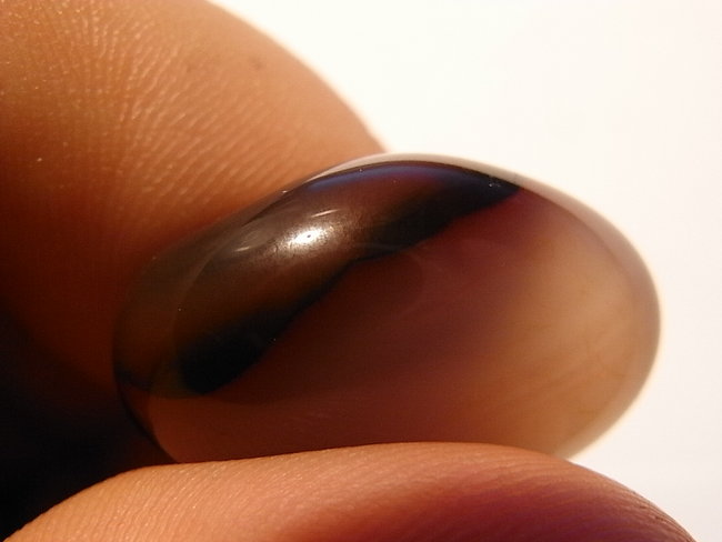 RIMG0228.JPG