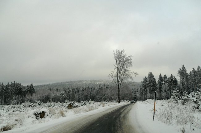 waldstein winterpanorama1.jpg