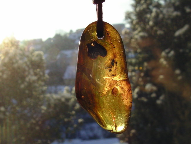 BILD0480.JPG