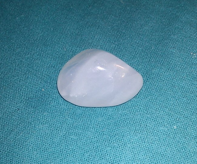 DSC00391.jpg