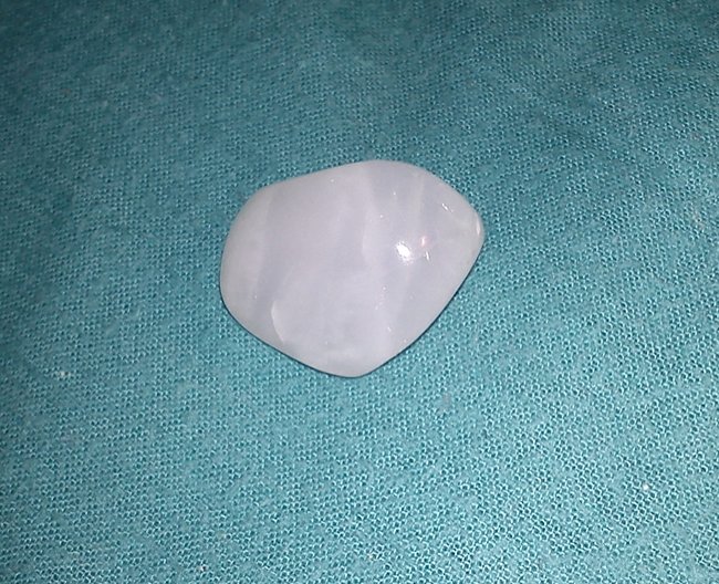 DSC00387.jpg