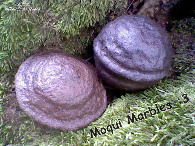 Waldtour 008.JPG