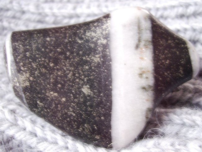 Ölschiefer mit  Pyrit  und Quarzbändern  ( Erzgebirge )
