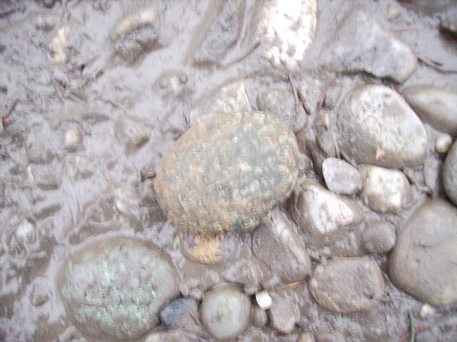 da liegt er schon im Freien