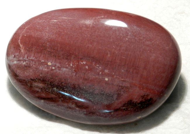 Versteinertes Holz aus Madagaskar