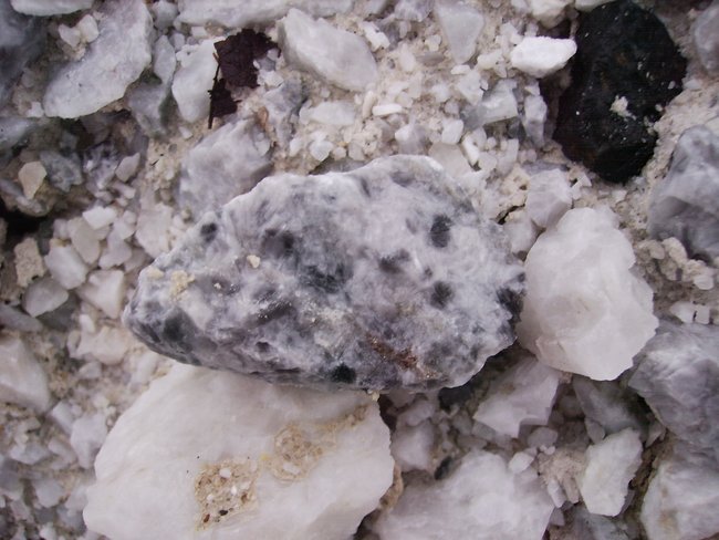 Künstlername:  Fichtelgebirgs-Dalmatinerstein  ( gesprenkelter Calcitmarmor, grosskristallin )