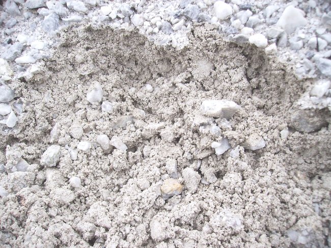 in dem Dreck  findet man leider  nichts