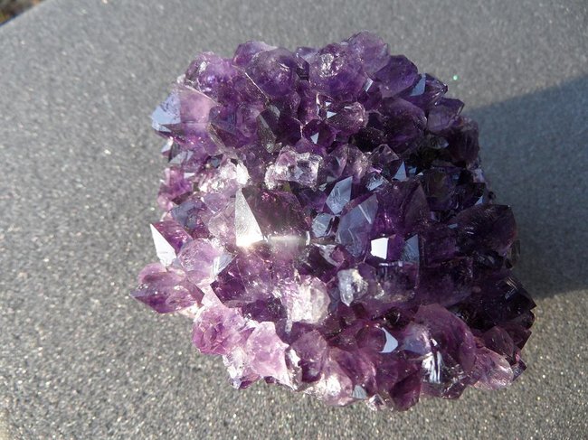 Amethystigel