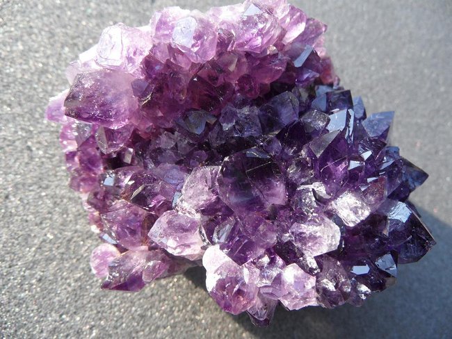 Amethystigel