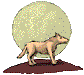 wolf_05.gif