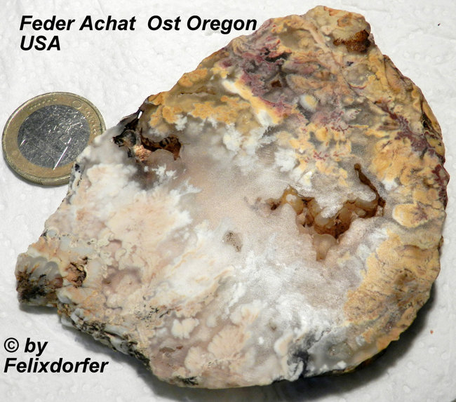 Feder-Achat  Schnitt  Ost Oregon   USA