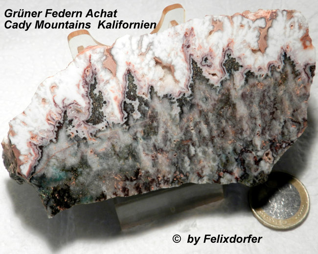 Grüner Feder Achat  Cady Mountains  Kalifornien  USA   Schnitt