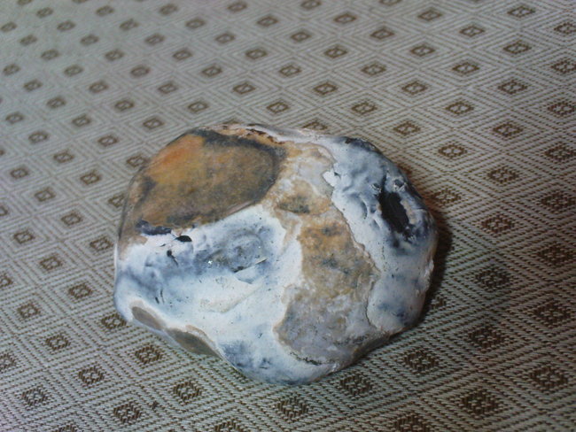 blaugelber_2.JPG