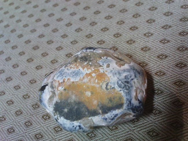 blaugelber_1.JPG