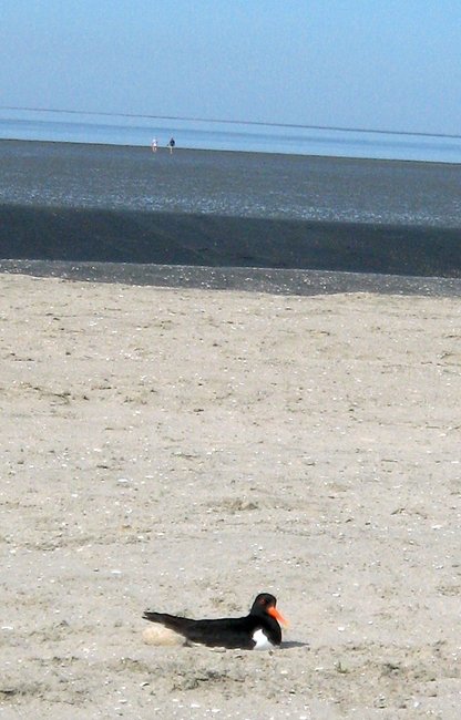 IMG_6127.JPG