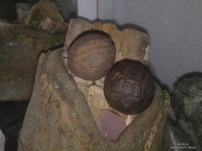 Vitrine 02.02.12 007.jpg