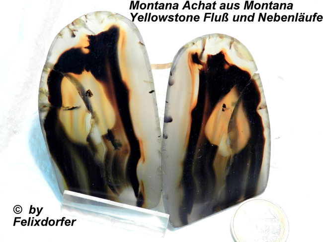 Montana Achat  2 Schnitte aus dem Yellowstone River und seinen Nebenflüssen