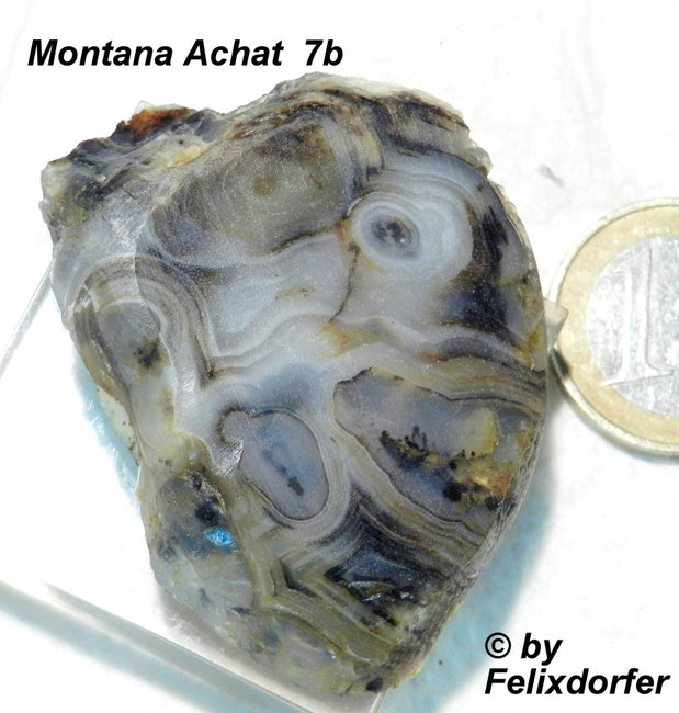 Montana Achat  Schnitt  aus dem Yellowstone River und seinen Nebenflüssen