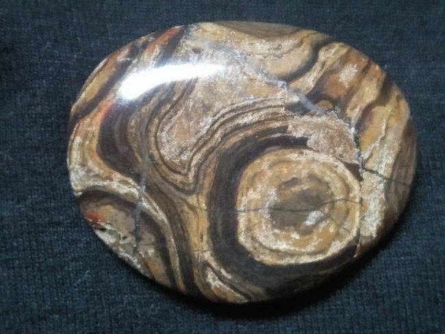 Stromatolith.jpg