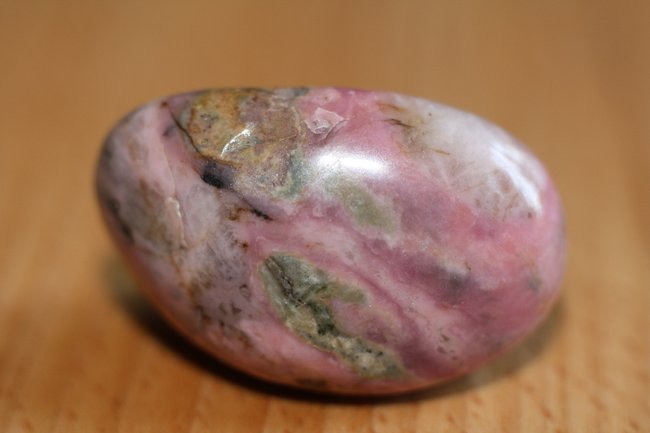 image1554.jpg
