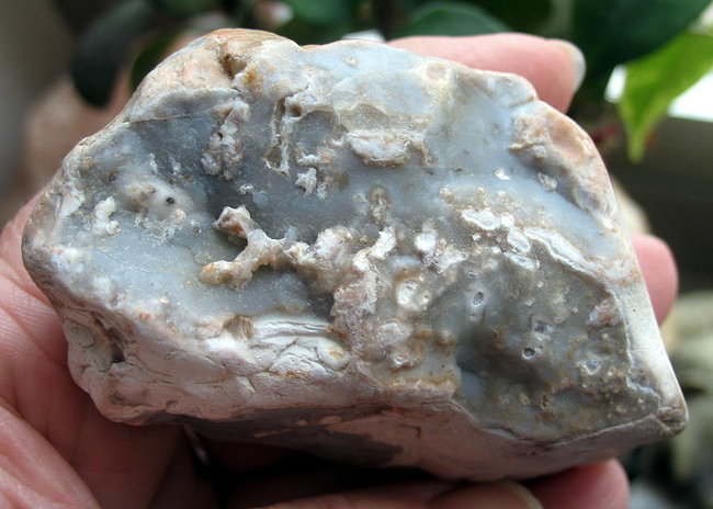 Flint mit Chalcedon