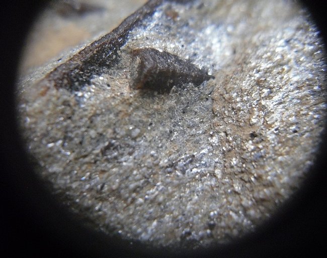 Staurolith rs_vergr. Ausschnitt 1 _Kola, Russland.jpg