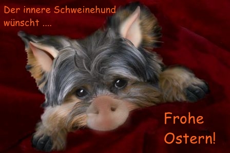 Schweinehund.web.jpg