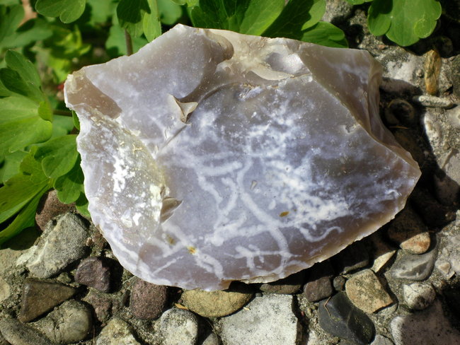 b 005.jpg