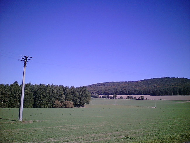 Img00031.jpg