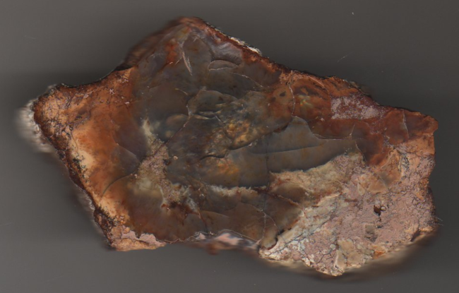 Opal Bohouskovice.PNG