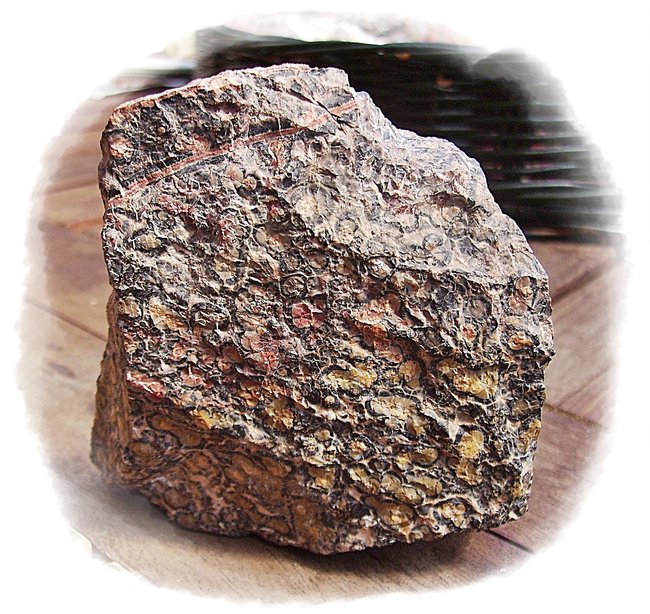 Leopardenfell-Rhyolith - Rückseite naturbelassen