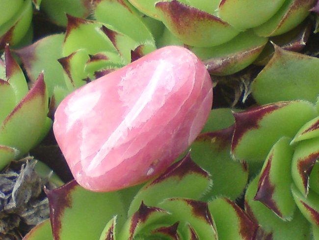 DSC03458.JPG