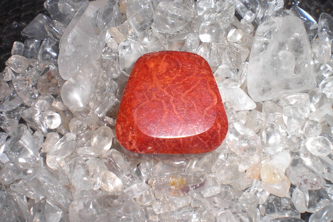 rote Koralle