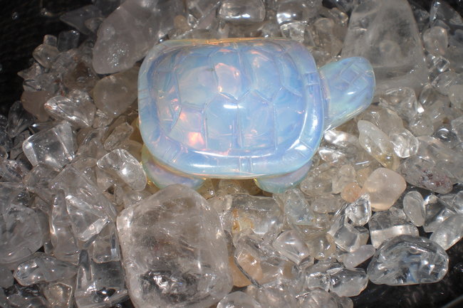 Opalith Schildkröte
