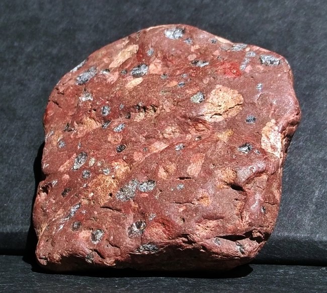 DSCF4830 1.JPG
