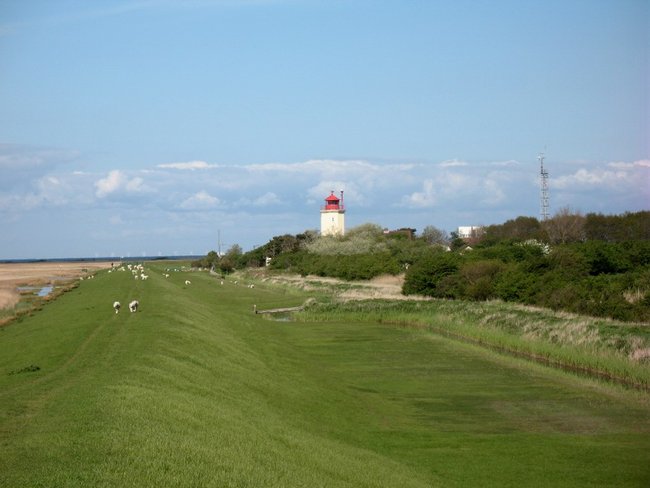 13Mai12 019.JPG