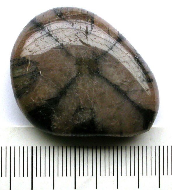 Chiastolith