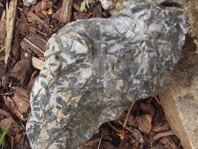 P1010058.JPG