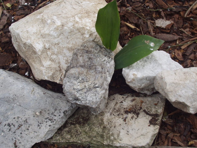 P1010057.JPG