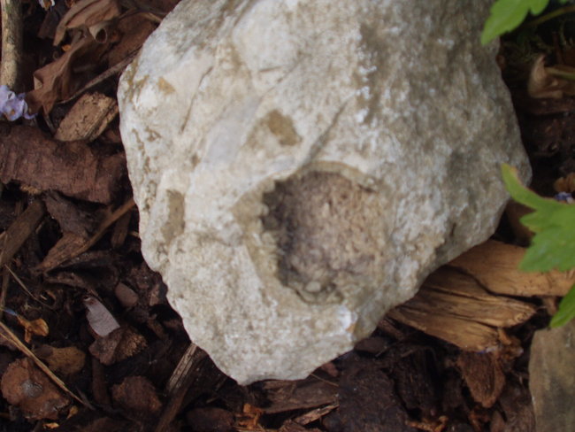 P1010055.JPG