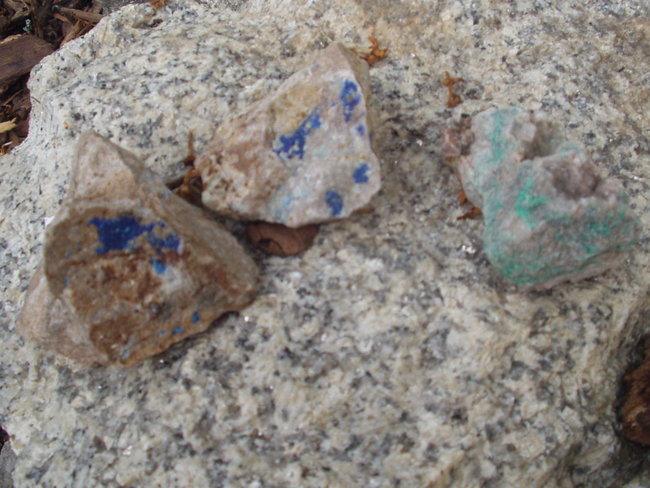 P1010053.JPG