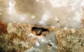 DSCF5089.JPG