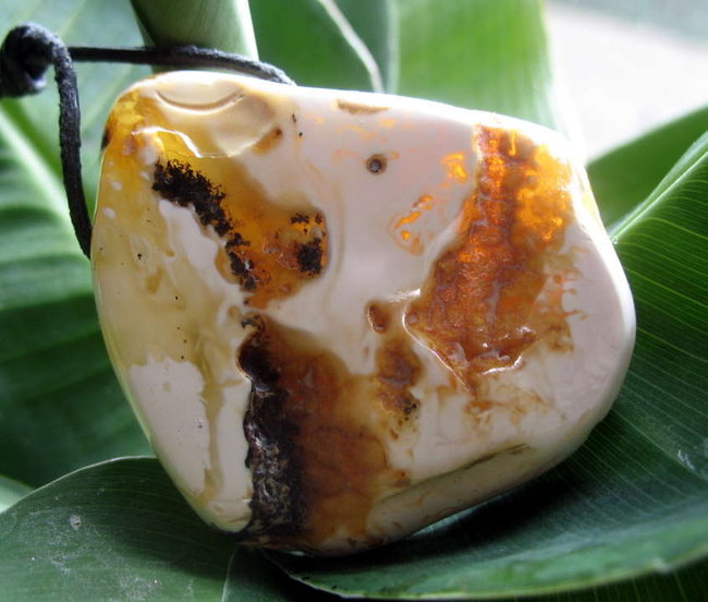 Rückseite. naturbelassen
